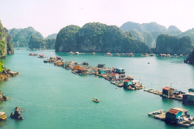 Rowing boats in Bai Tu Long Bay