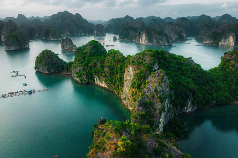 Rowing boats in Bai Tu Long Bay